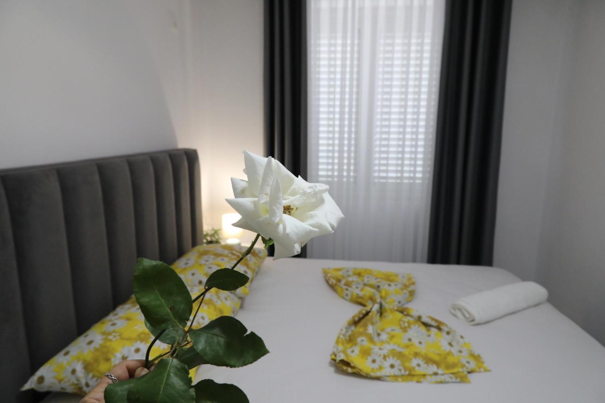 Rozafa Guest Room Center Shkodra Kültér fotó